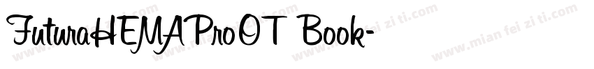 FuturaHEMAProOT Book字体转换